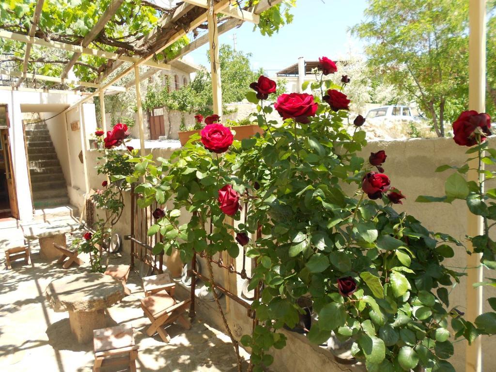 Valleypark Hotel Nevsehir Eksteriør bilde